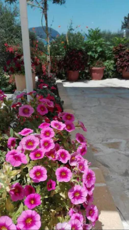 Armonia Apartments Corfu  외부 사진